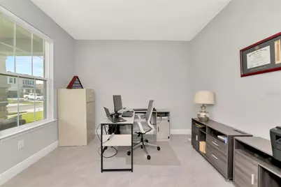 171 Bright Ibis Avenue, Apollo Beach, FL 33572 - Photo 22