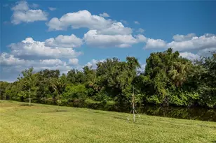 171 Bright Ibis Ave, Apollo Beach, FL 33572 - Photo 46