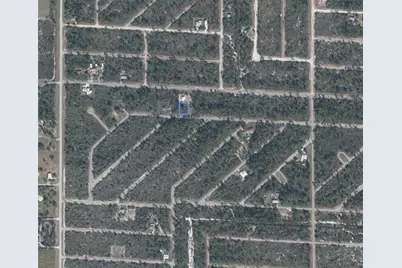 3531 Plover Avenue, Lake Placid, FL 33852 - Photo 4