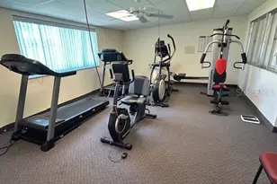 204 Freeport Dr, Sarasota, FL 34233 - Photo 10