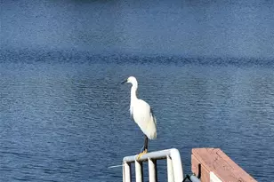 8204 Waterview Blvd, Lakewood Ranch, FL 34202 - Photo 70