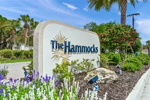 3711 Eagle Hammock Dr, Sarasota, FL 34240 - Photo 50