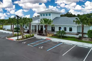 12609 Aura Moonlight Ter, Parrish, FL 34219 - Photo 70