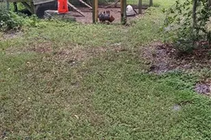 30500 34 Ave E, Myakka City, FL 34251 - Photo 56