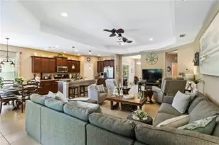 4225 Pine Meadow Dr, Parrish, FL 34219 - Photo 4