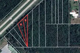 Hwy 92, Deland, FL 32724 - Photo 1