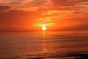 6722 Roxbury Dr, Sarasota, FL 34231 - Photo 80