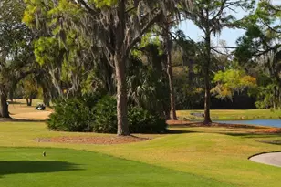 3933 Chatsworth Greene, Sarasota, FL 34235 - Photo 26