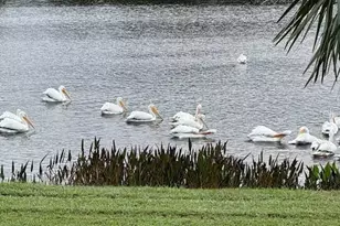 5616 107th Terrace E, Parrish, FL 34219 - Photo 28