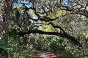 5616 107th Terrace E, Parrish, FL 34219 - Photo 32