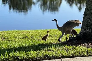 5616 107th Terrace E, Parrish, FL 34219 - Photo 30