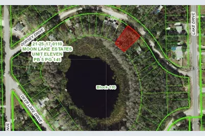 Dorsey Drive - Lot 10 &11, New Port Richey, FL 34654 - Photo 6