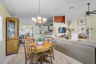4850 Raintree St Cir E, Bradenton, FL 34203 - Photo 8
