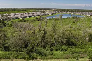 11923 Lilac Pearl Ln, Parrish, FL 34219 - Photo 32