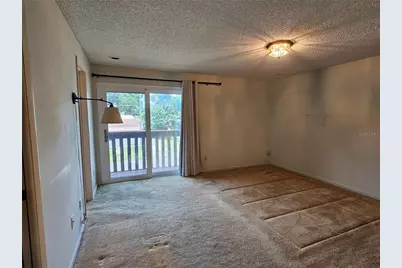 3418 W Saint Conrad Street, Tampa, FL 33607 - Photo 12