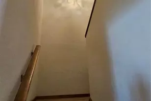 3418 W St Conrad St, Tampa, FL 33607 - Photo 10