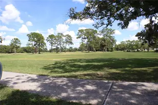 11806 White Ash Dr, New Port Richey, FL 34654 - Photo 34