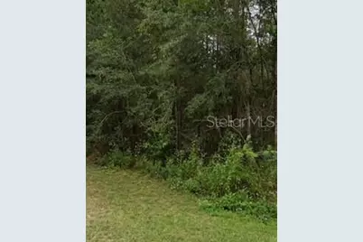 Ne Eleventh Street, Williston, FL 32696 - Photo 1