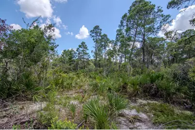 192 Freedom Drive, Frostproof, FL 33843 - Photo 44