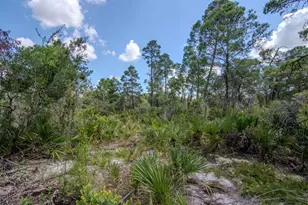 192 Freedom Dr, Frostproof, FL 33843 - Photo 44