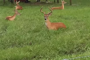 2230 Myakka Rd, Sarasota, FL 34240 - Photo 46