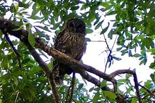 2230 Myakka Rd, Sarasota, FL 34240 - Photo 48