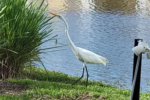 1130 Villagio Cir, Sarasota, FL 34237 - Photo 42