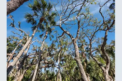 3376 S Seclusion Drive, Sarasota, FL 34239 - Photo 38