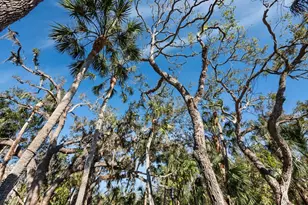 3376 S Seclusion Dr, Sarasota, FL 34239 - Photo 38