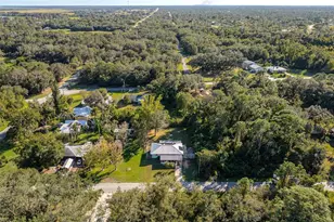 1511 Fringe St, Lake Placid, FL 33852 - Photo 42