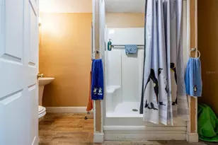 1511 Fringe St, Lake Placid, FL 33852 - Photo 20