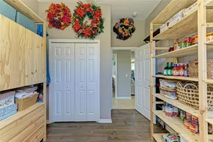 15918 31st St E, Parrish, FL 34219 - Photo 52