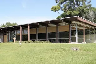 3205 Bougainvillea St, Sarasota, FL 34239 - Photo 28