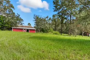 16736 Dalberg Dr, Spring Hill, FL 34610 - Photo 36