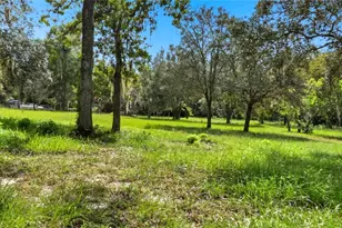 16736 Dalberg Dr, Spring Hill, FL 34610 - Photo 34