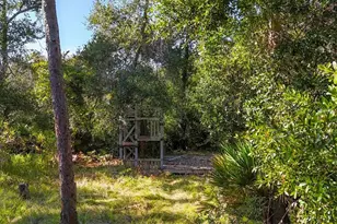 9979 Cherry Hills Ave Cir, Bradenton, FL 34202 - Photo 58