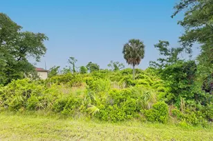 12254 Kaiser Ave, Port Charlotte, FL 33981 - Photo 1