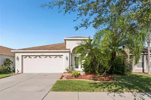13908 Chalk Hill Pl, Riverview, FL 33579 - Photo 1