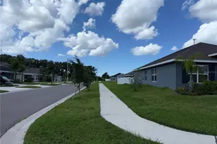 14921 Tropical Violet Wy, Wimauma, FL 33598 - Photo 42