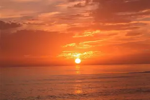 240 Sands Point Rd, Longboat Key, FL 34228 - Photo 40