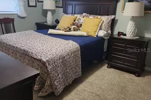 26630 Cayman Dr, Tavares, FL 32778 - Photo 10