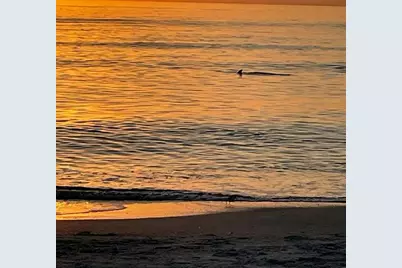 618 Bayport Way Bayport Way #618, Longboat Key, FL 34228 - Photo 4