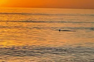 618 Bayport Way Bayport Way, Longboat Key, FL 34228 - Photo 4