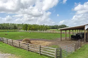 1126 Co Rd 665, Ona, FL 33865 - Photo 54