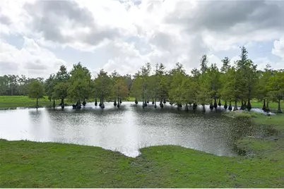 1126 County Road 665, Ona, FL 33865 - Photo 4