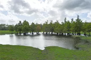 1126 Co Rd 665, Ona, FL 33865 - Photo 4