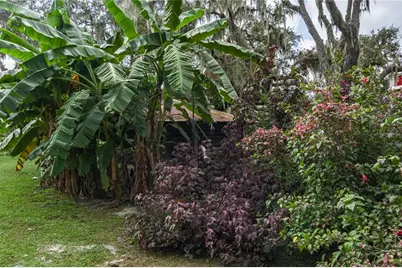 1126 County Road 665, Ona, FL 33865 - Photo 82