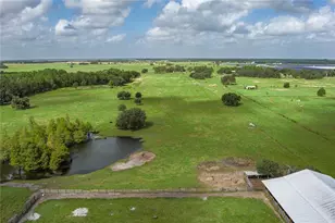1126 Co Rd 665, Ona, FL 33865 - Photo 64
