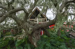 1126 Co Rd 665, Ona, FL 33865 - Photo 72