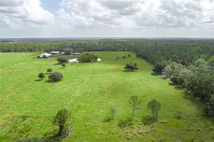 1126 Co Rd 665, Ona, FL 33865 - Photo 56